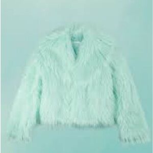 Taylor Swift Mint Green Fluffy Jacket